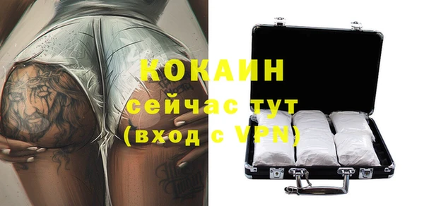 гидра Богданович