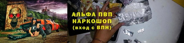 гидра Богданович