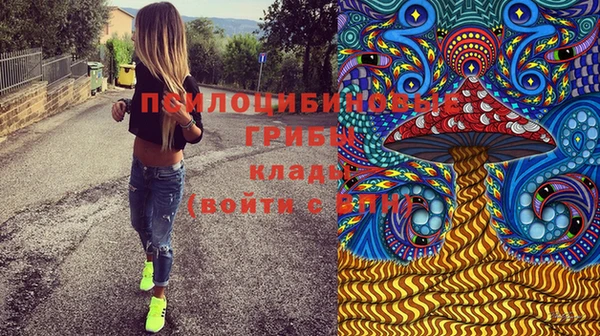 ГАЛЛЮЦИНОГЕННЫЕ ГРИБЫ Бугульма