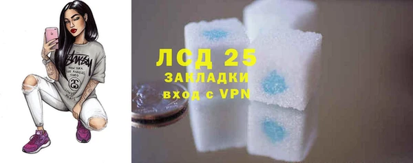 твердый Бородино