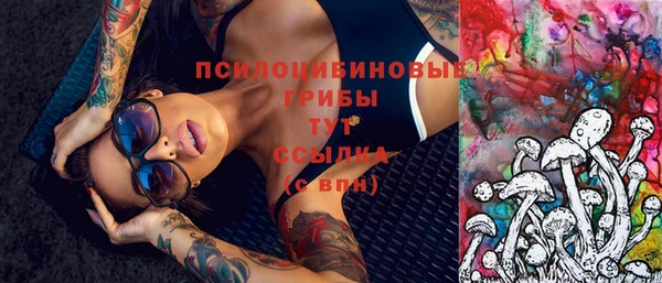 ГАЛЛЮЦИНОГЕННЫЕ ГРИБЫ Бугульма