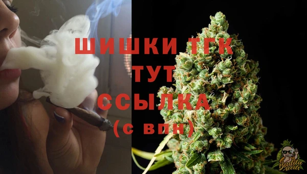 гидра Богданович