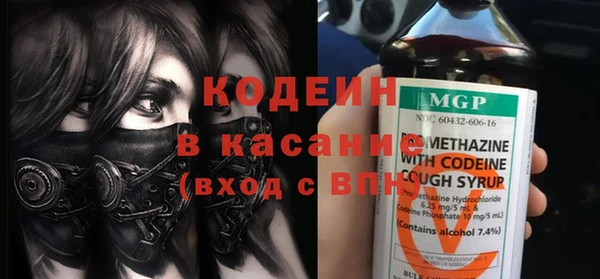 гидра Богданович