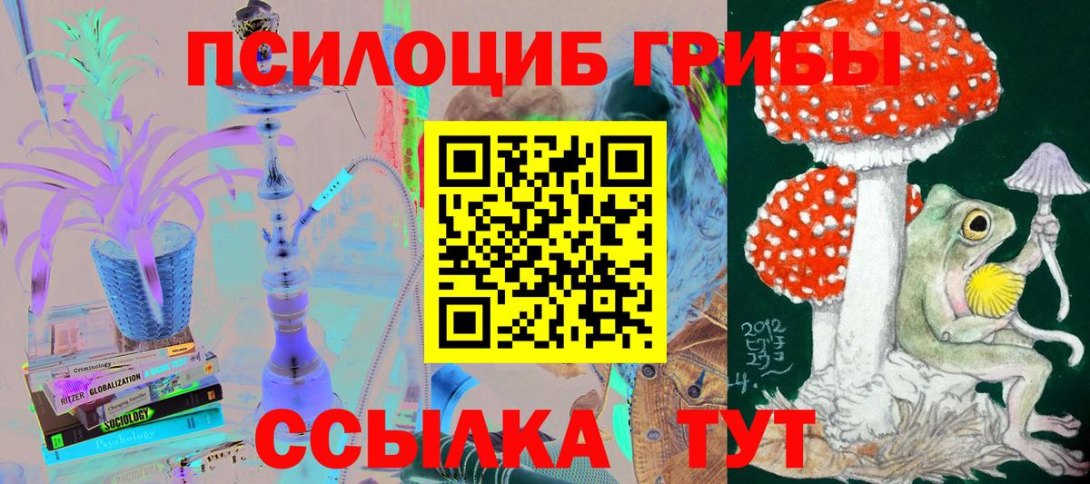 где продают   Псилоцибиновые грибы MAGIC MUSHROOMS  Псилоцибиновые грибы Magic Shrooms  Вход с VPN  Дальнегорск 